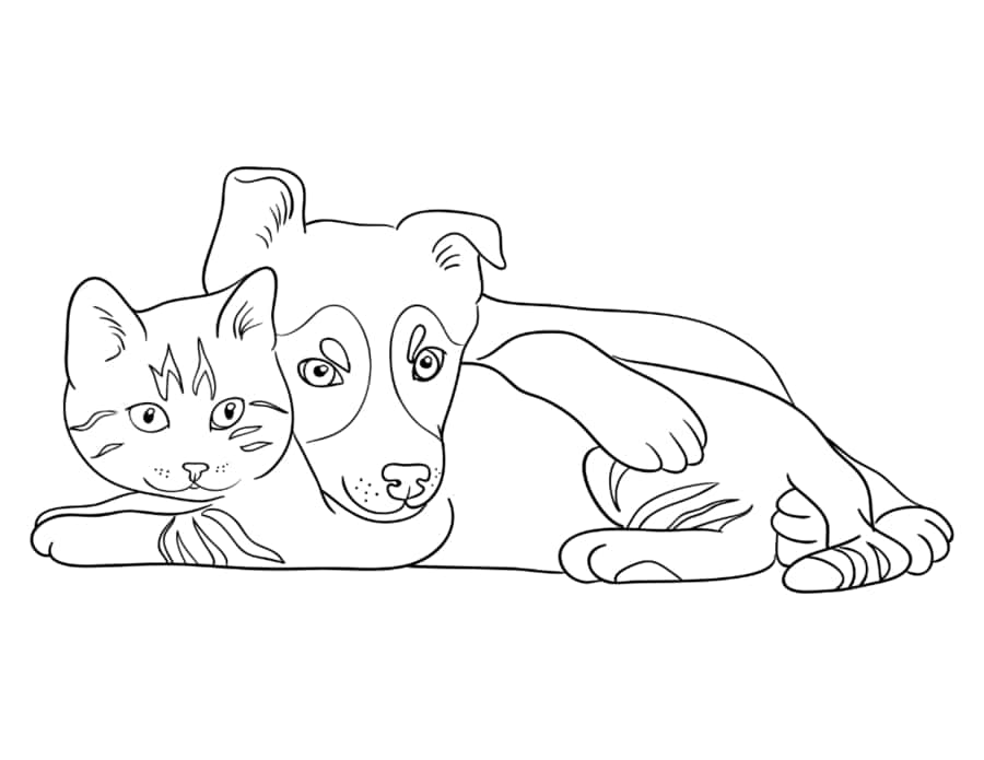 Puppy Dog Cat Cuddle Cat Tracing Worksheets Pdf Free Vectors